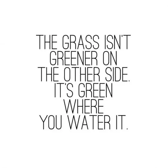 Beautiful Quotes The grass isn't greener on the other side. It's greener where you water it.