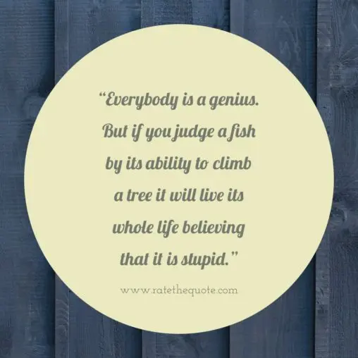 "Everybody is a genius. But if you judge a fish by its ability to climb a tree it will live its whole life believing that it is stupid." Anonymous