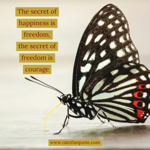 “The secret of happiness is freedom, the secret of freedom is courage.” – Carrie Jones