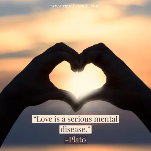 “Love is a serious mental disease.” -Plato